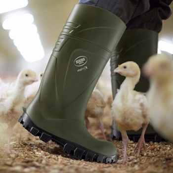 Bekina StepliteX XAN4P9180AP S5 Hoog Groen Werklaars