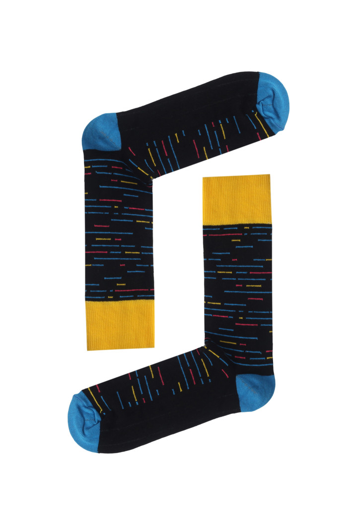 Socks++ Black Dash Line Socks