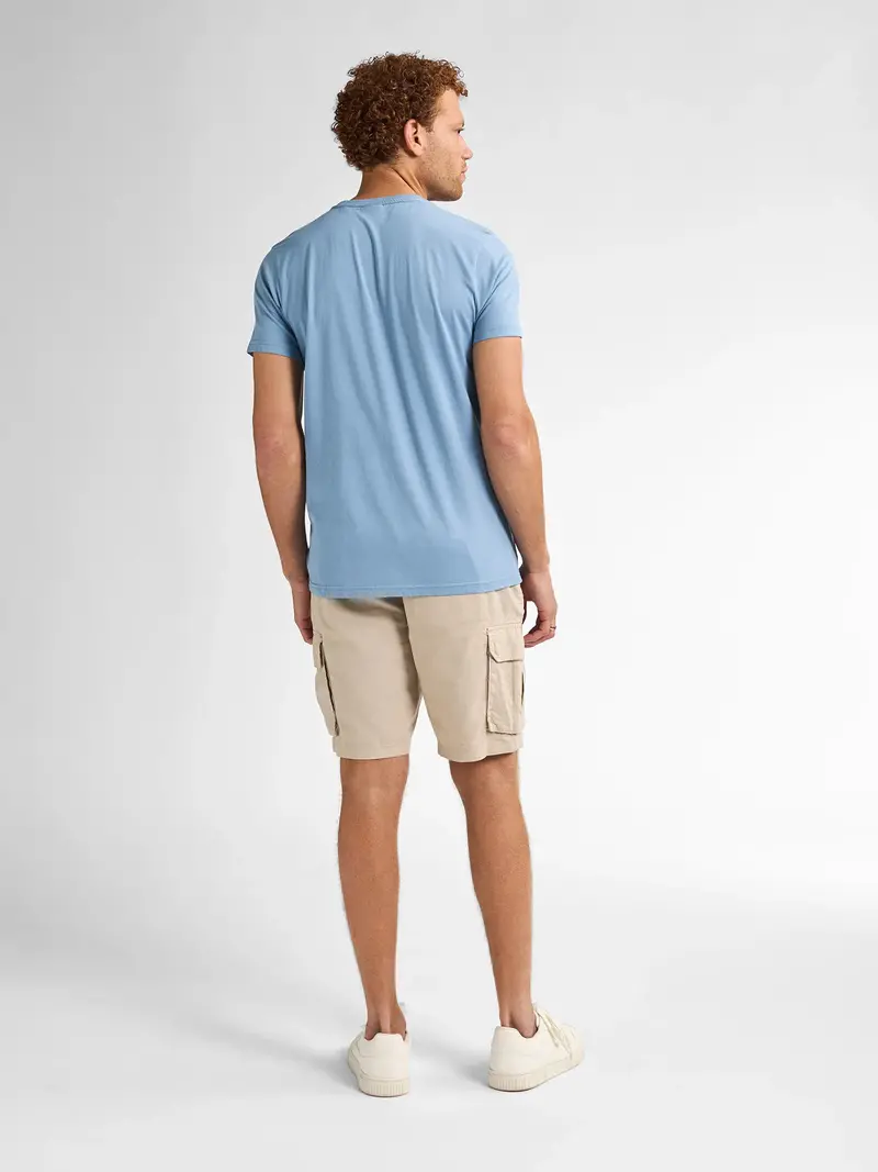 Petrol Cargo Shorts M-1050-SHO539