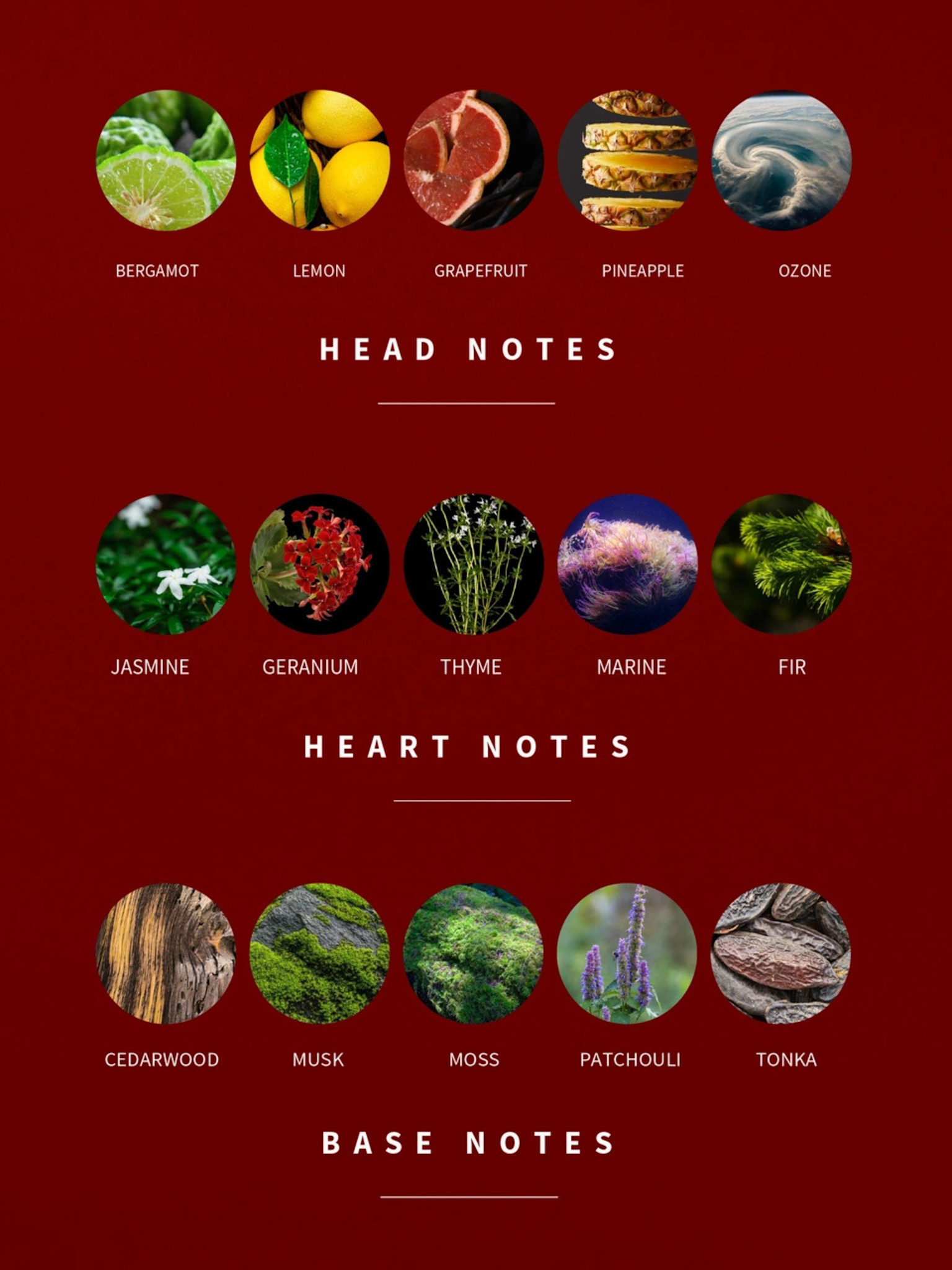 Antony Morato Unity Parfum  MMPF00009/AF130001