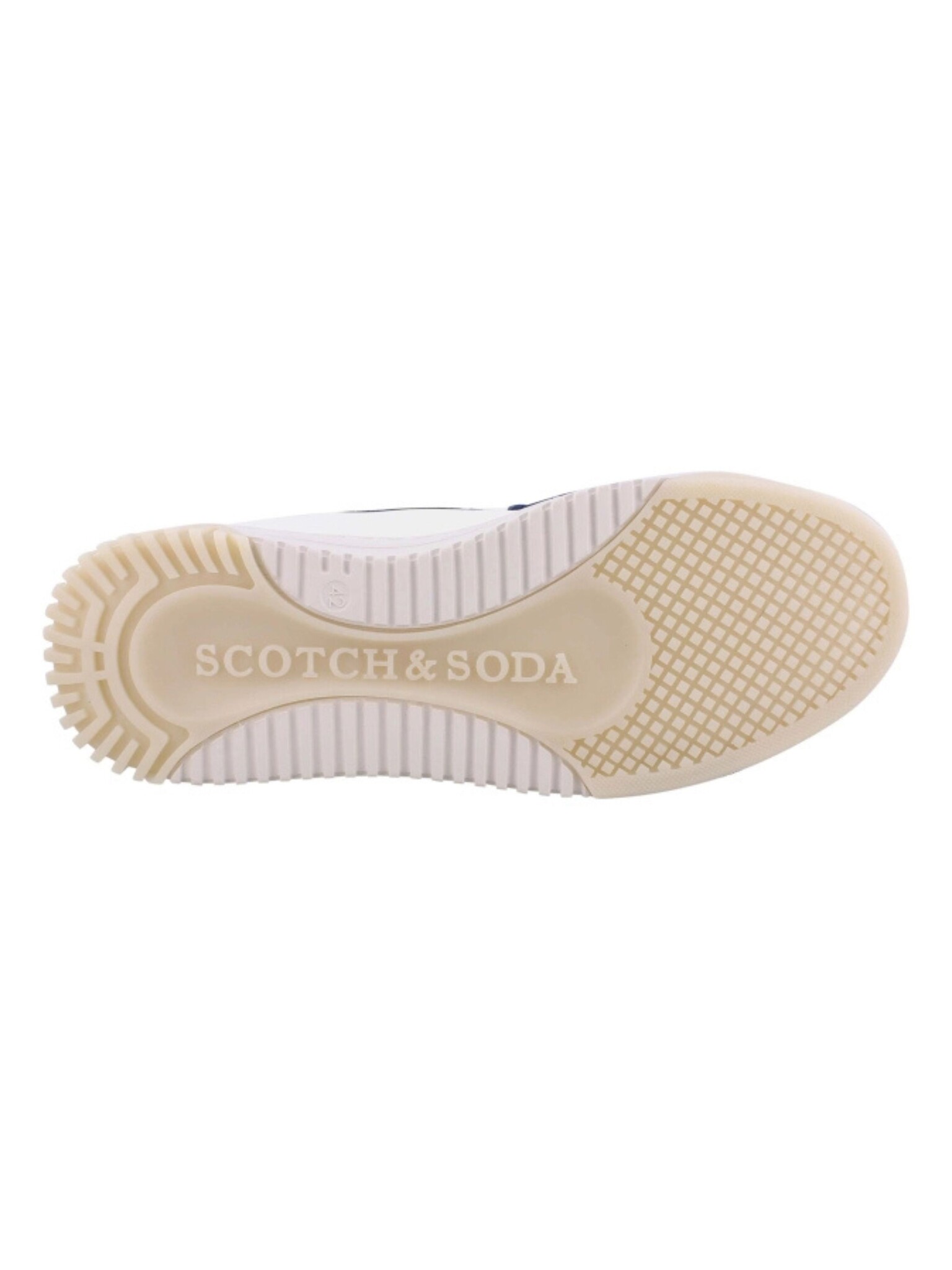 Scotch & Soda New Cup