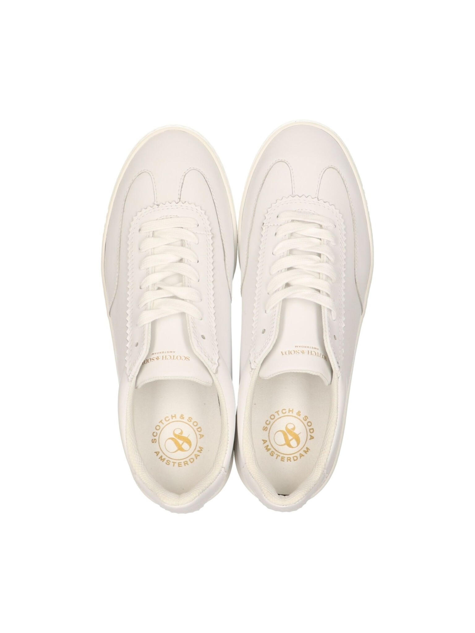 Scotch & Soda Plakka