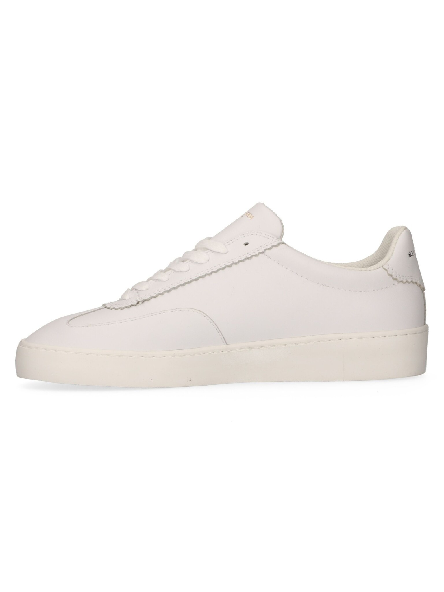 Scotch & Soda Plakka