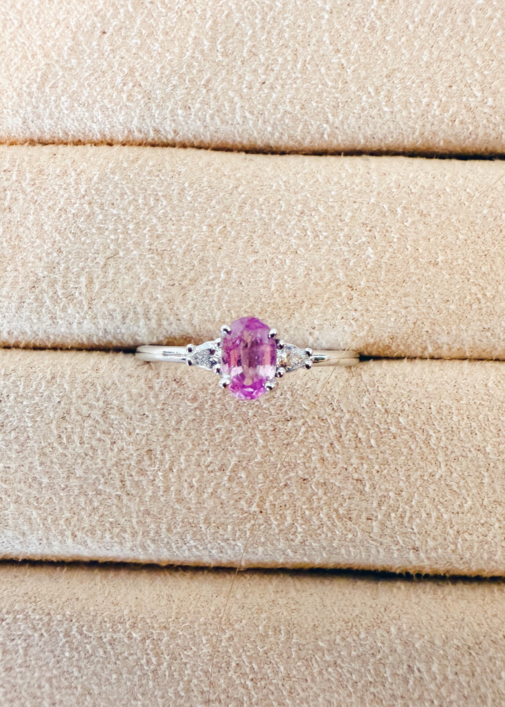 Studio Sapphire - The Trilogie