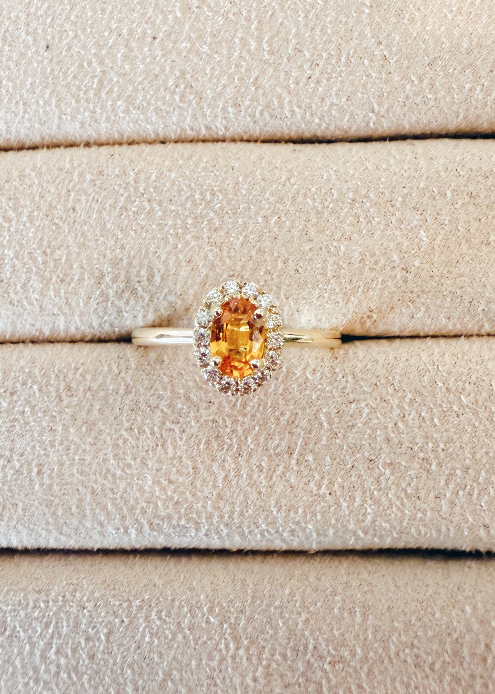 Studio Sapphire -  The Halo