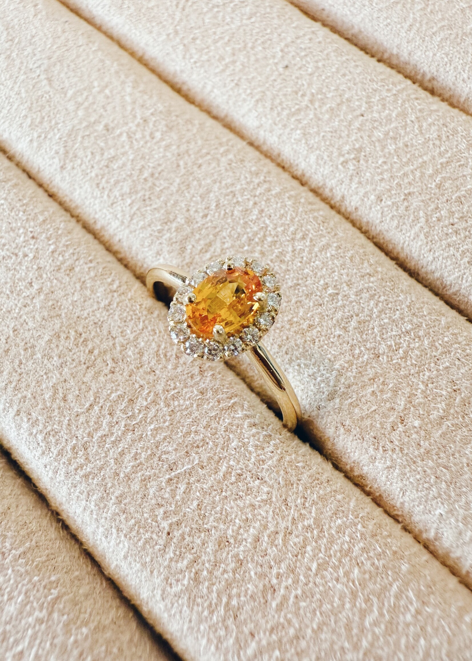 Studio Sapphire -  The Halo