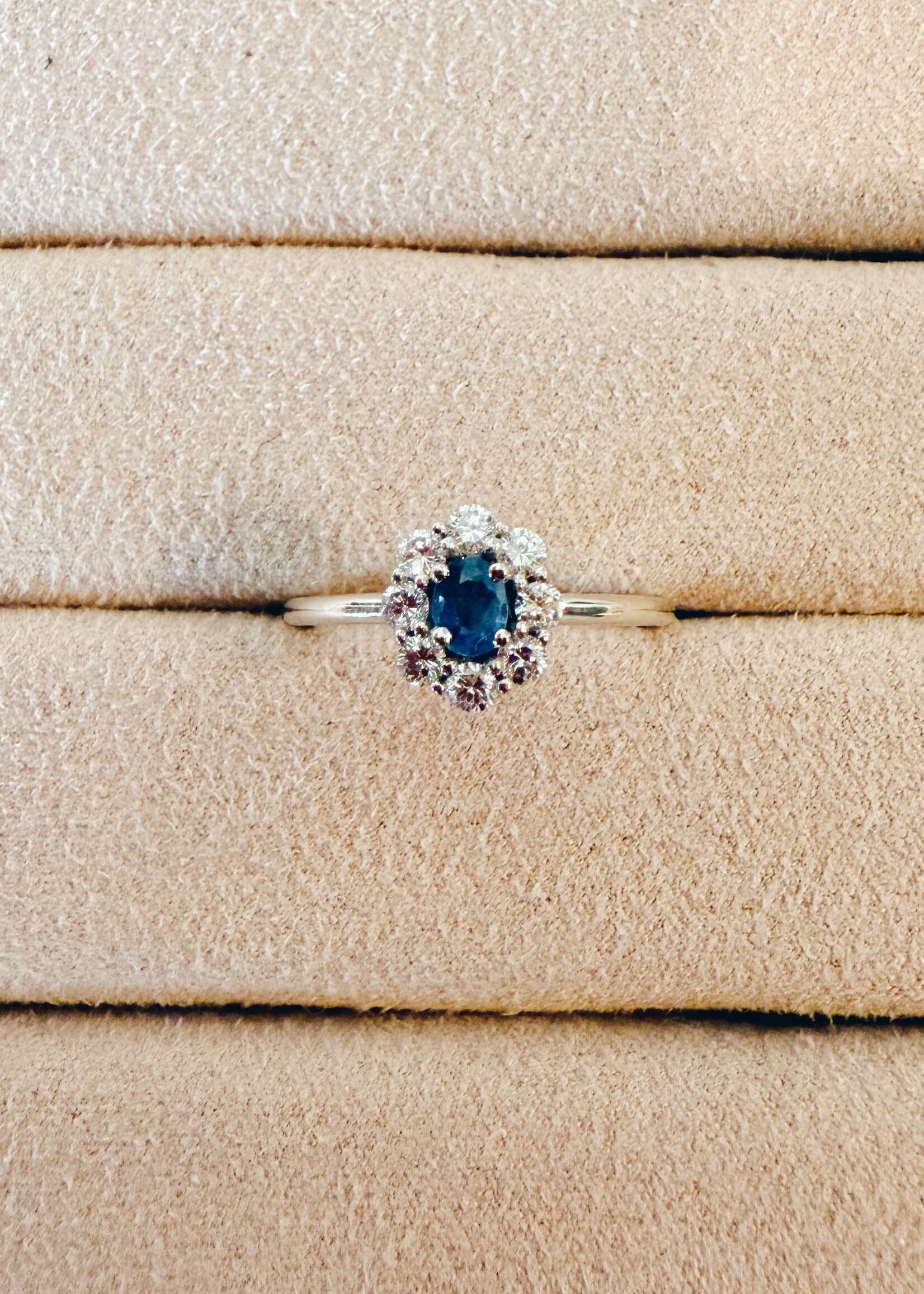 Studio Sapphire - The Entourage