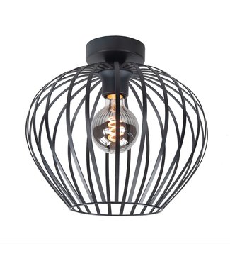 Licht & Accessoires plafondlamp speciale vorm zwart staal-30cm-zwart