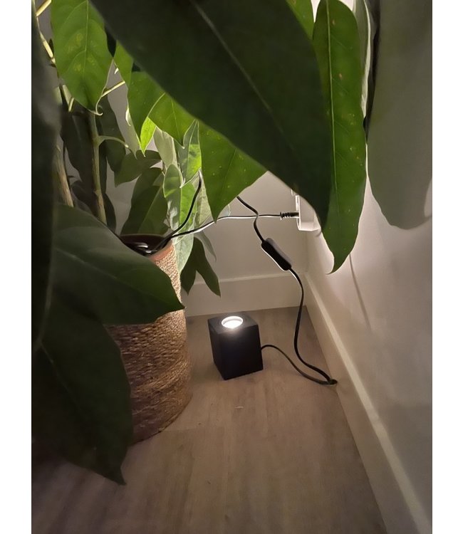 Strakke grondspot vierkant zwart-8cm