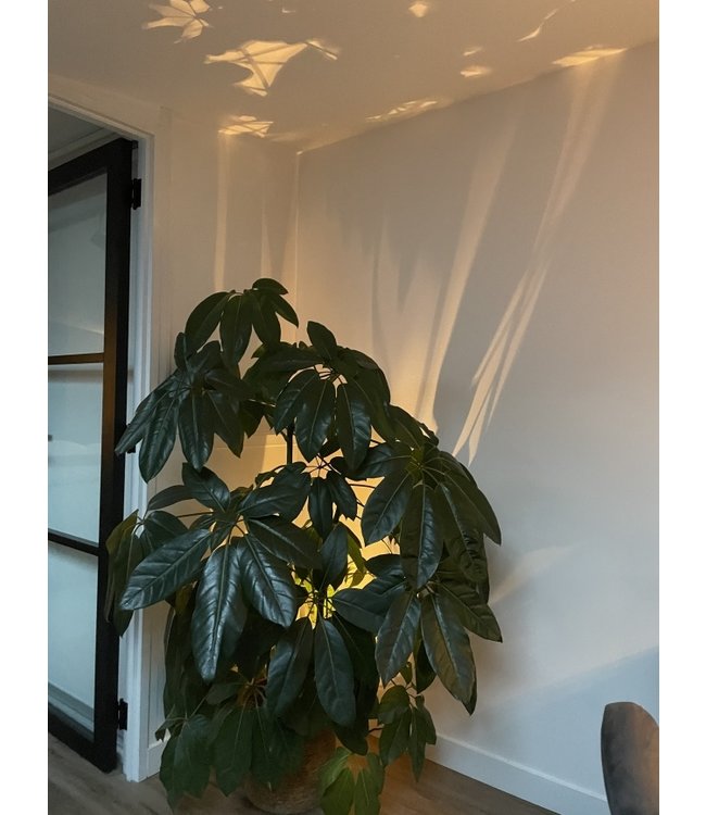 Strakke grondspot vierkant zwart-8cm