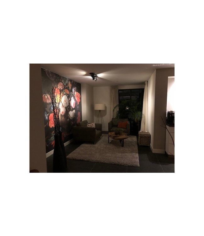 Rail spot zwart inclusief g9 dimbaar