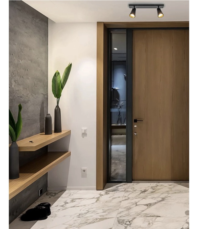 Strakke 2 lichts spot zwart-goud