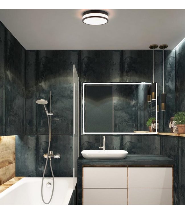 Plafondlamp met zwarte randen 3 standen