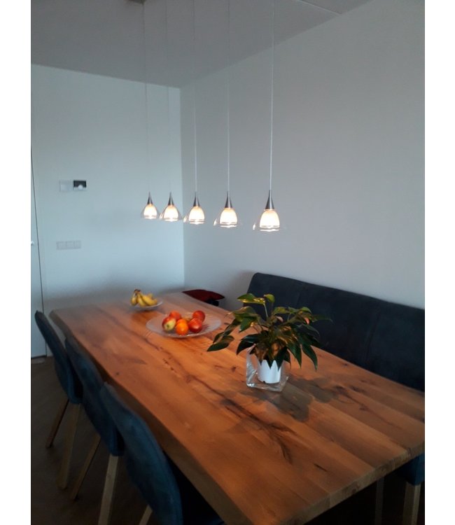 4 lichts hanglamp dubbel glas LED met DTW -100-RVS
