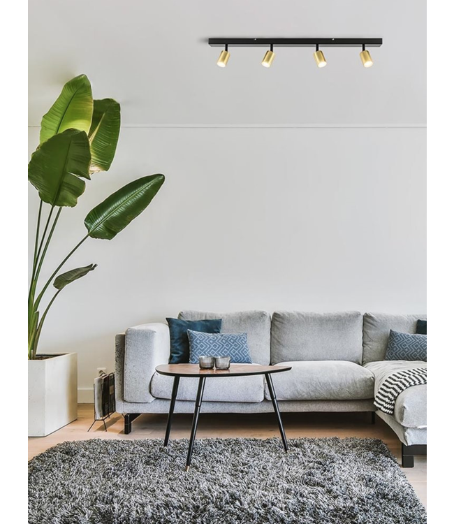 Spot 4lichts spots verstelbaar -100cm- mat Zwart & Goud