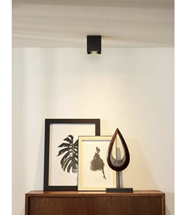 Vierkante opbouw kantelbare 1 lichts spot-10cm-zwart