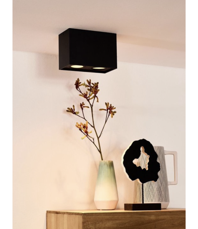Rechthoekige opbouw kantelbare 2lichts spot-25cm-zwart