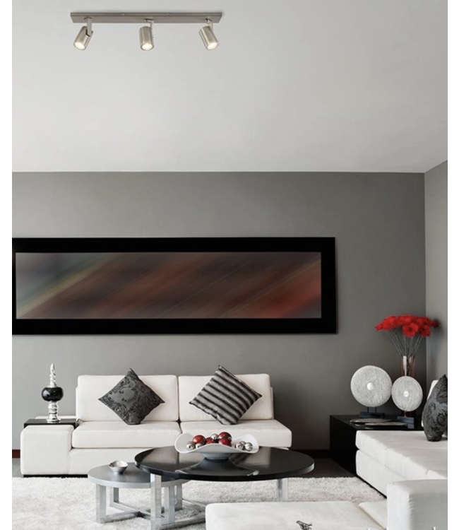 Langwerpige RVS 3 lichts spot-65cm