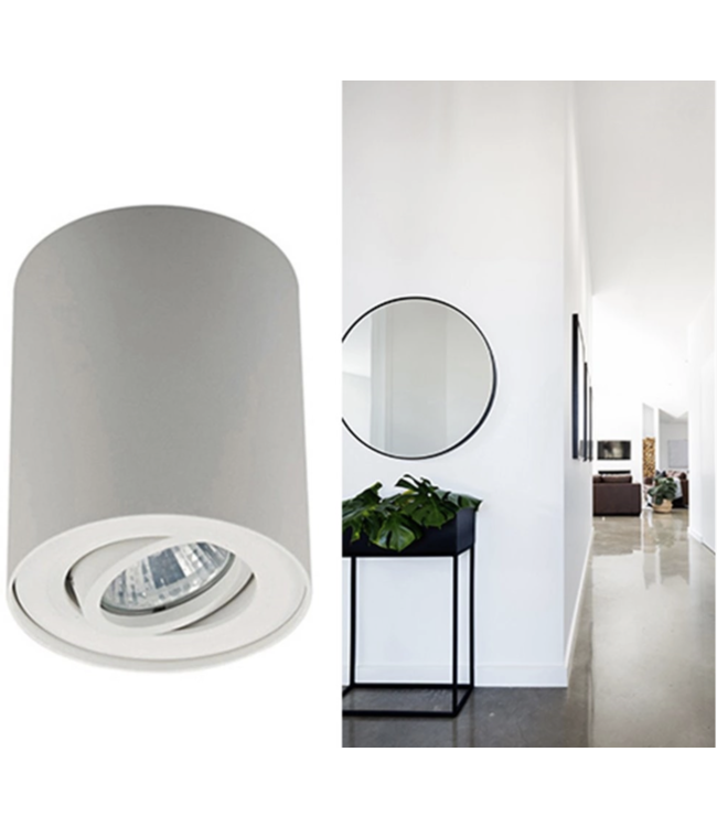 Ronde kantelbare opbouw spot 1 licht-10cm-wit