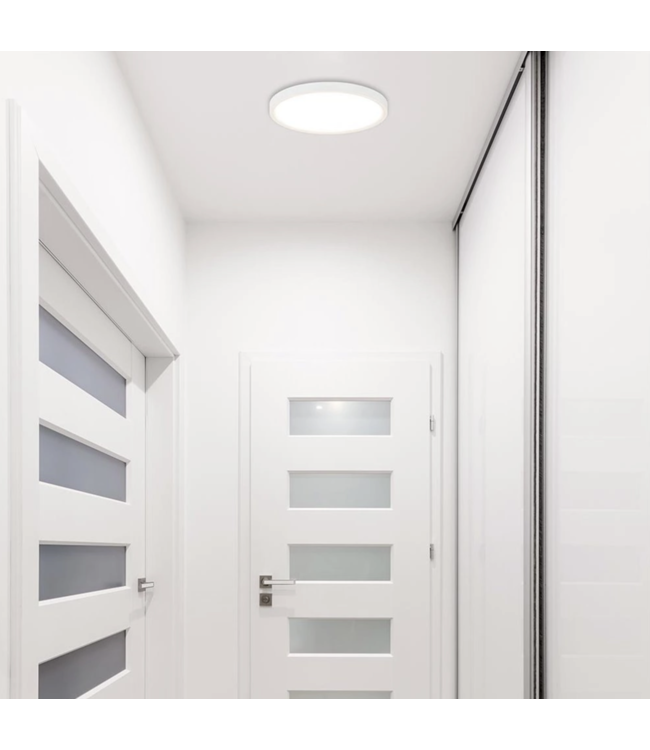 Mooie platte plafondlamp wit klein