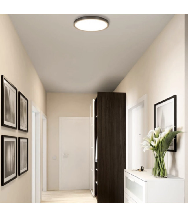 Mooie platte plafondlamp middel