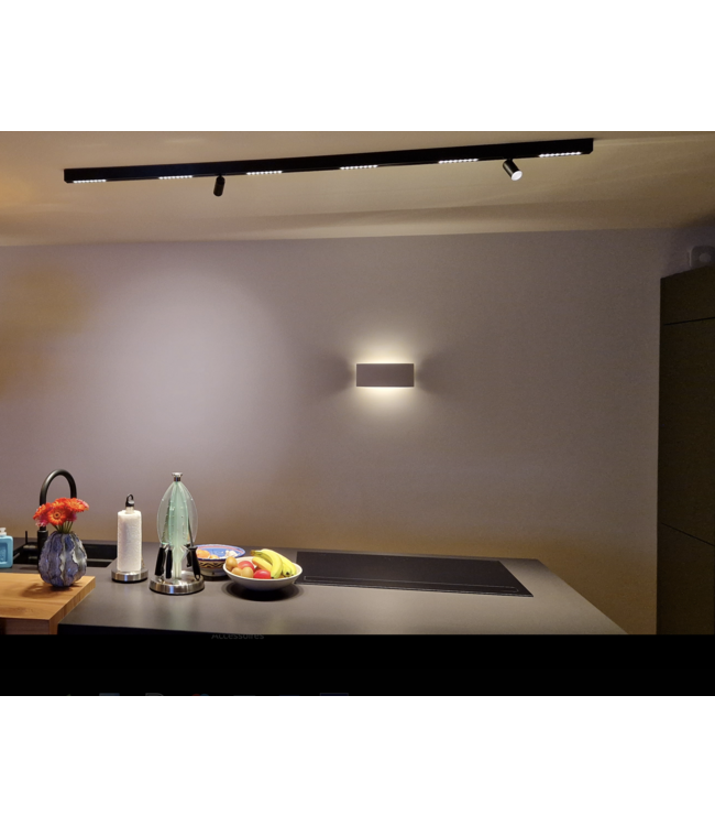 Design whiteline slot track opbouw met 2 spots 200cm zwart dimbare leds