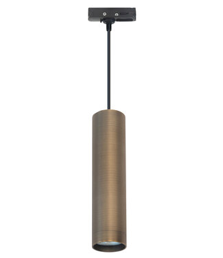 Highlight Hanglampje aan rail  brass