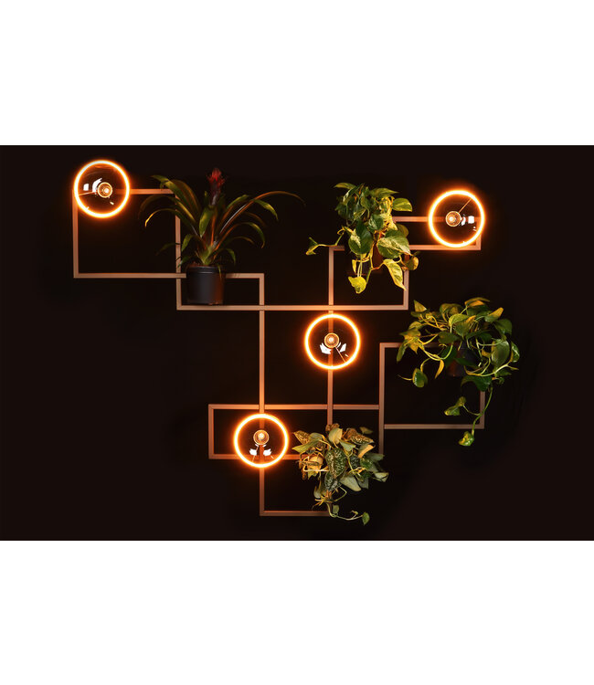 Decoratieve wandlamp met licht en planthouders