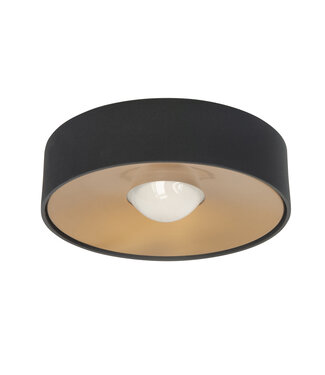 Highlight Plafondlamp zwart met goud led klein