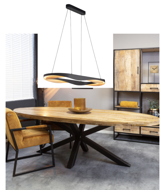 Mooi vormgegeven ovale hanglamp led zwart met goud