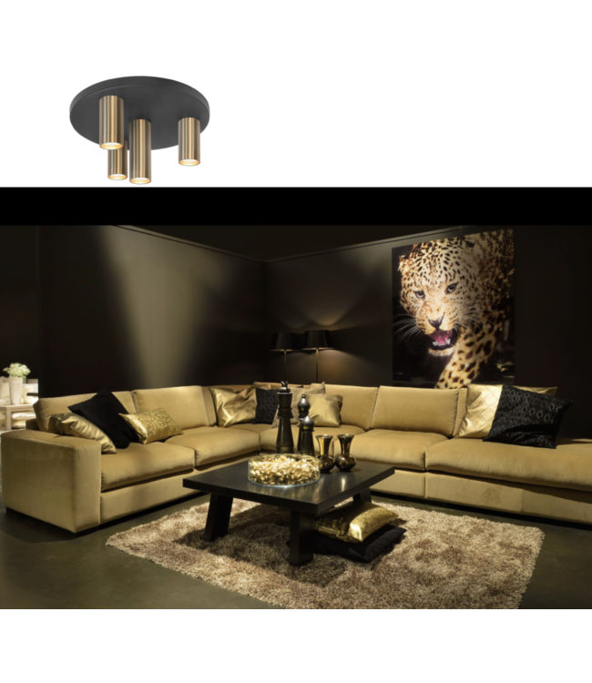 Zwarte Spot met 4 vaste gold kopjes