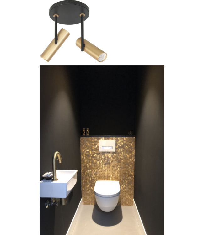 Minimalistische 2 lichts spot ongelijke armen zwart met goud