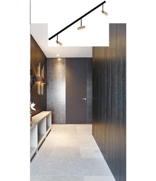 losse spot GU10 small zwart goud tbv railsysteem