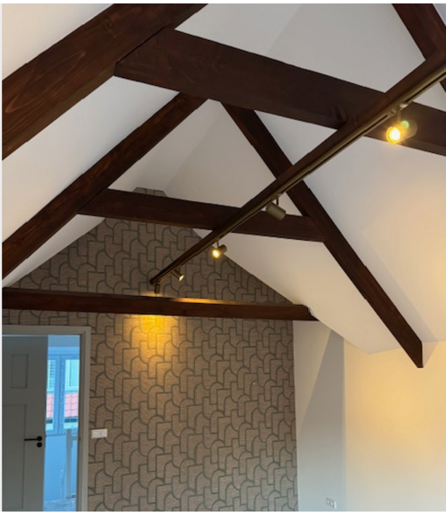 losse spot GU10 brass/zwart tbv railsysteem