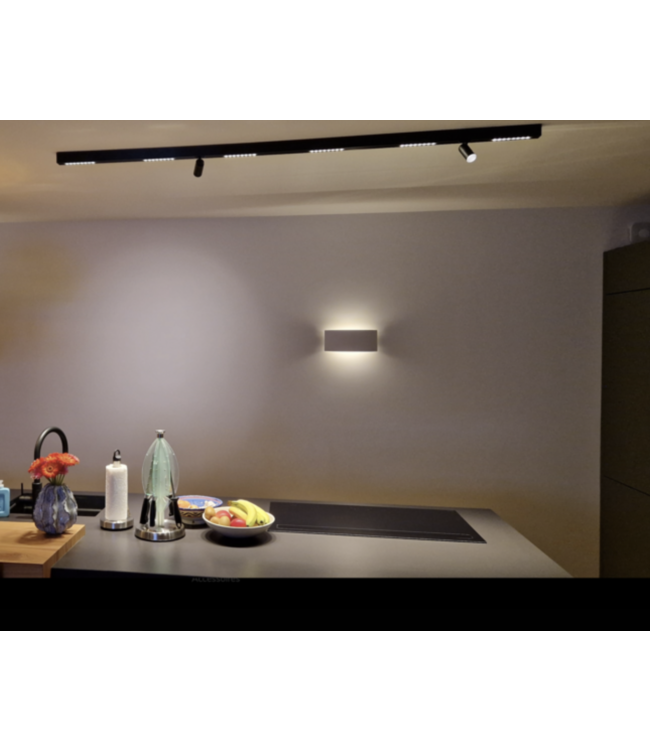 Design whiteline slot track opbouw met 2 spots 180cm bronze dimbare leds