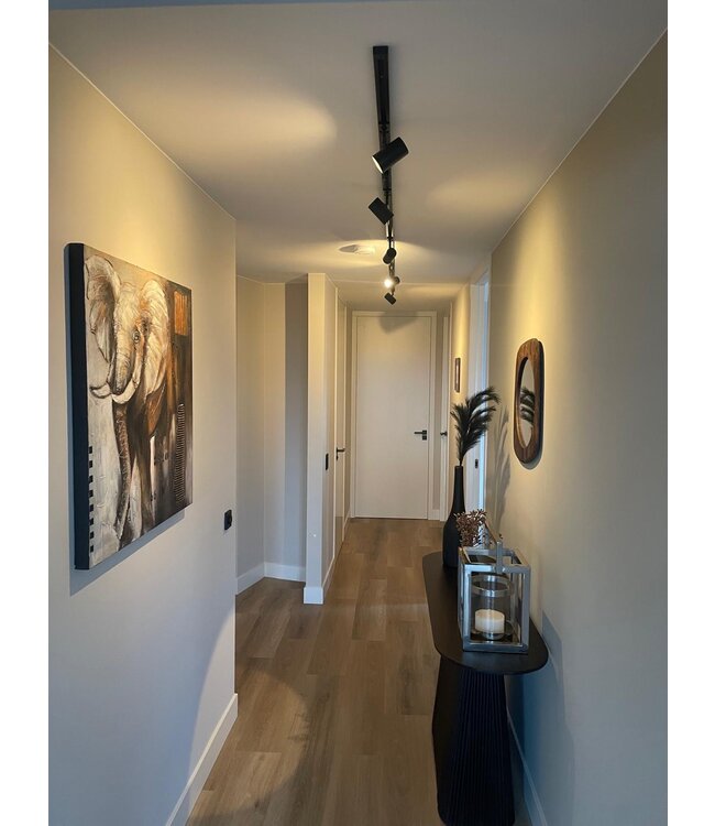 Rail 2 meter 1fase zwart kit inclusief 3 strakke spots gu10 fitting