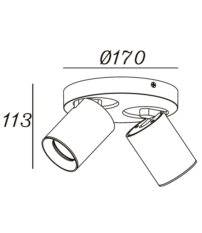 strakke 2 lichts spot op ronde plaat zwart
