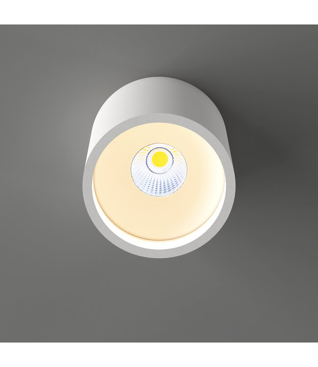 Plafondlamp Orleans wit  ø 11cm