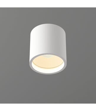 Artdelight Plafondlamp Ormond  wit  ø 11cm   - ip54