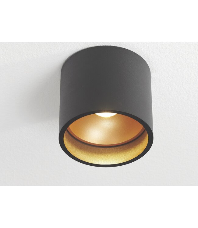 Plafondlamp Ormond zwart/goud  ø 11cm  ip54