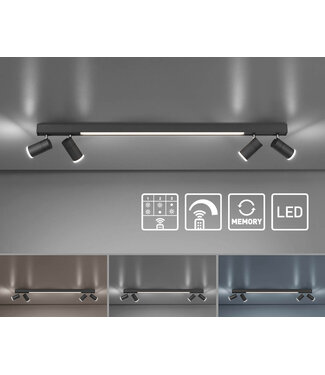 Neuhaus Pure  Plafondlamp met spots Pure Lines  Graphite draaibaar dimbaar lengte 120cm