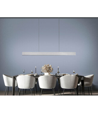 Neuhaus Pure  Hanglamp strak Pure E-motiondiamond (aluminium) in hoogte verstelbaar