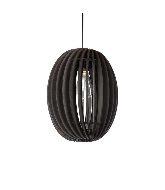 Hanglamp Swan 27 cm Zwart