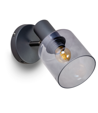 Wandlamp zwart met smoke glas
