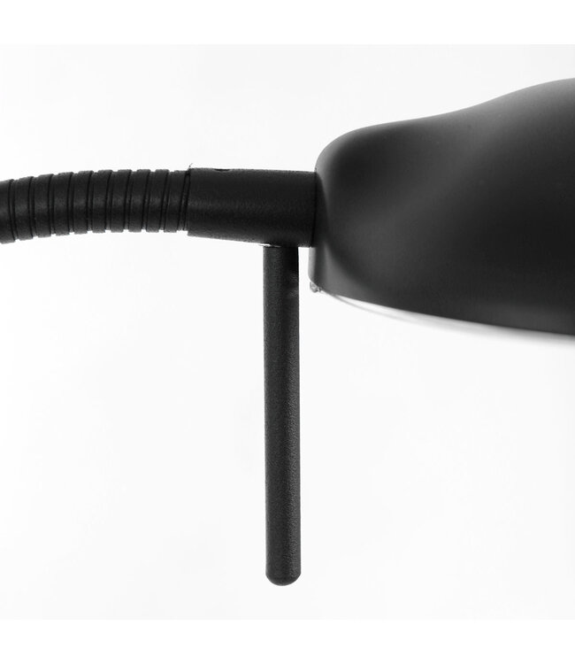 Vloerlamp biron zwart 2lichts