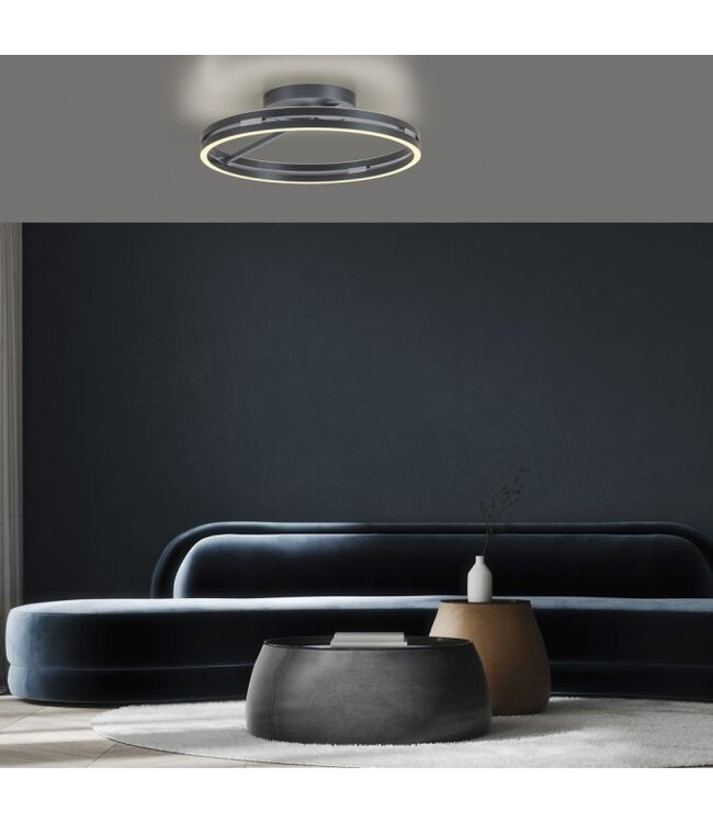 Plafondlamp pure loop mystic grey 60cm  met afstand bediening