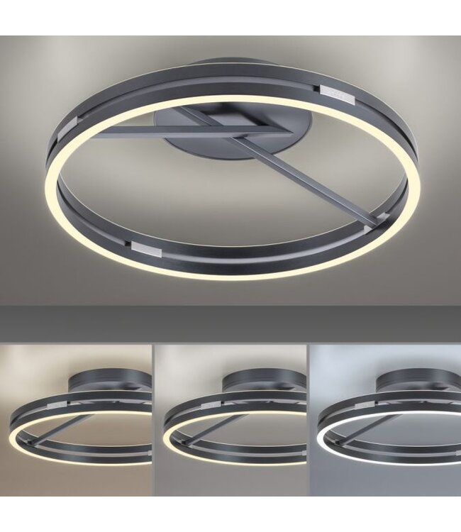 Plafondlamp pure loop mystic grey 60cm  met afstand bediening