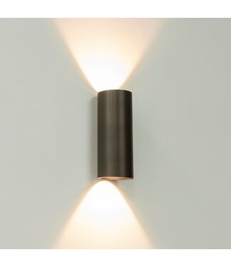 Artdelight Wandlamp Brons geborsteld Brody rond 2x 6w ingebouwd led ip65