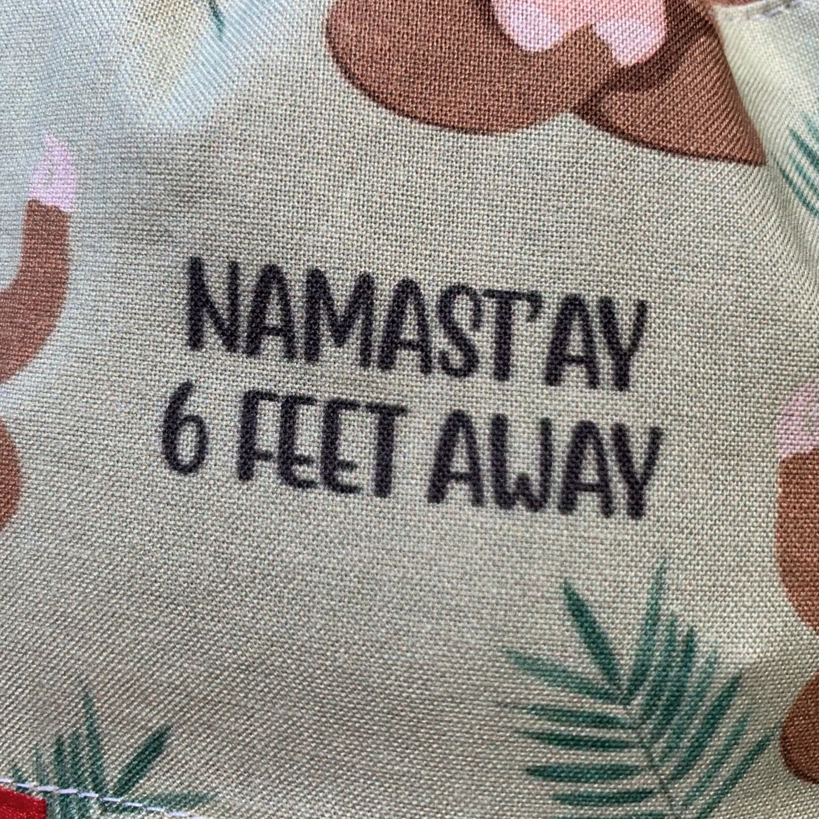 Lama Namastay 6 feet away