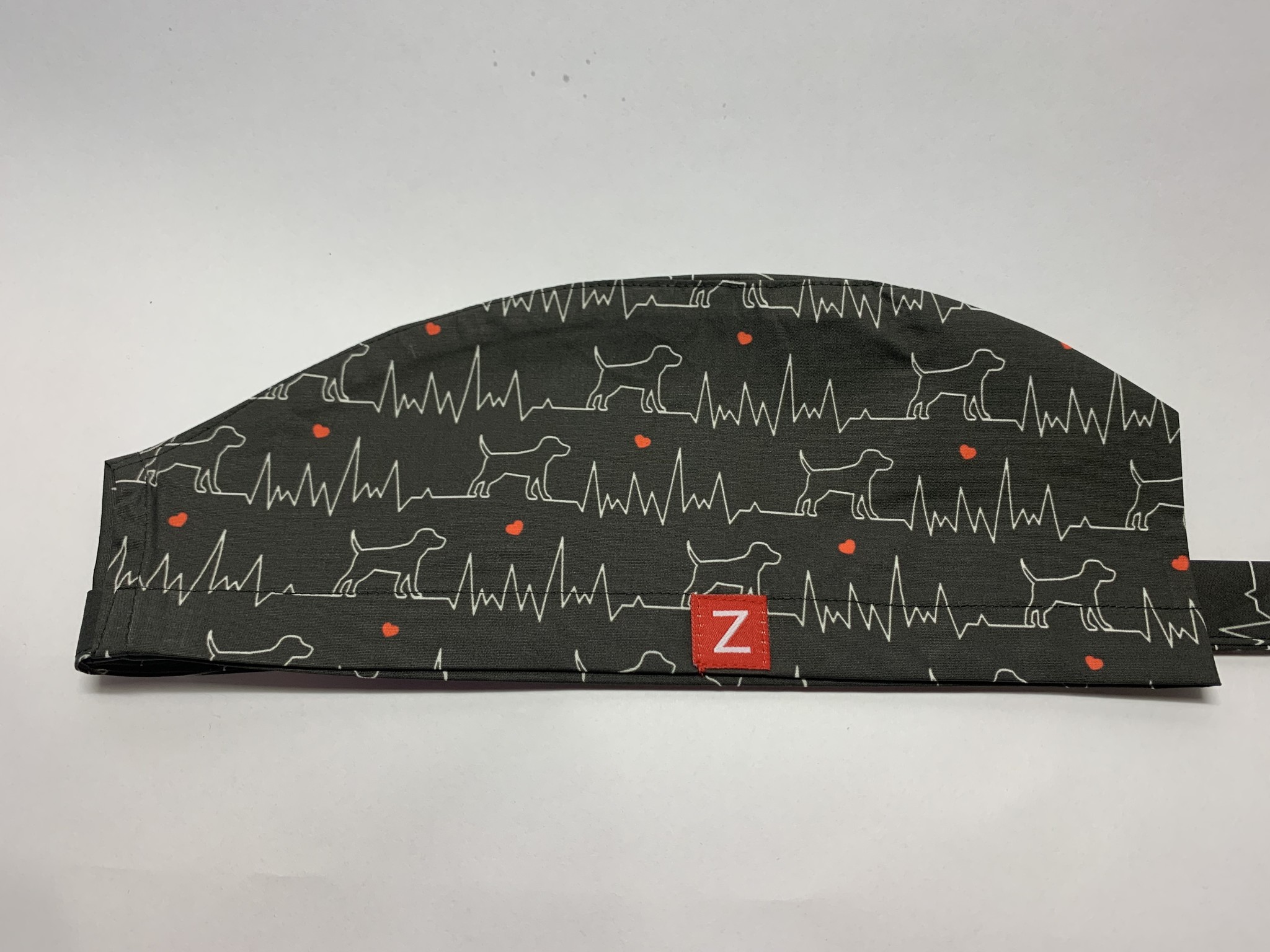 Chien ECG